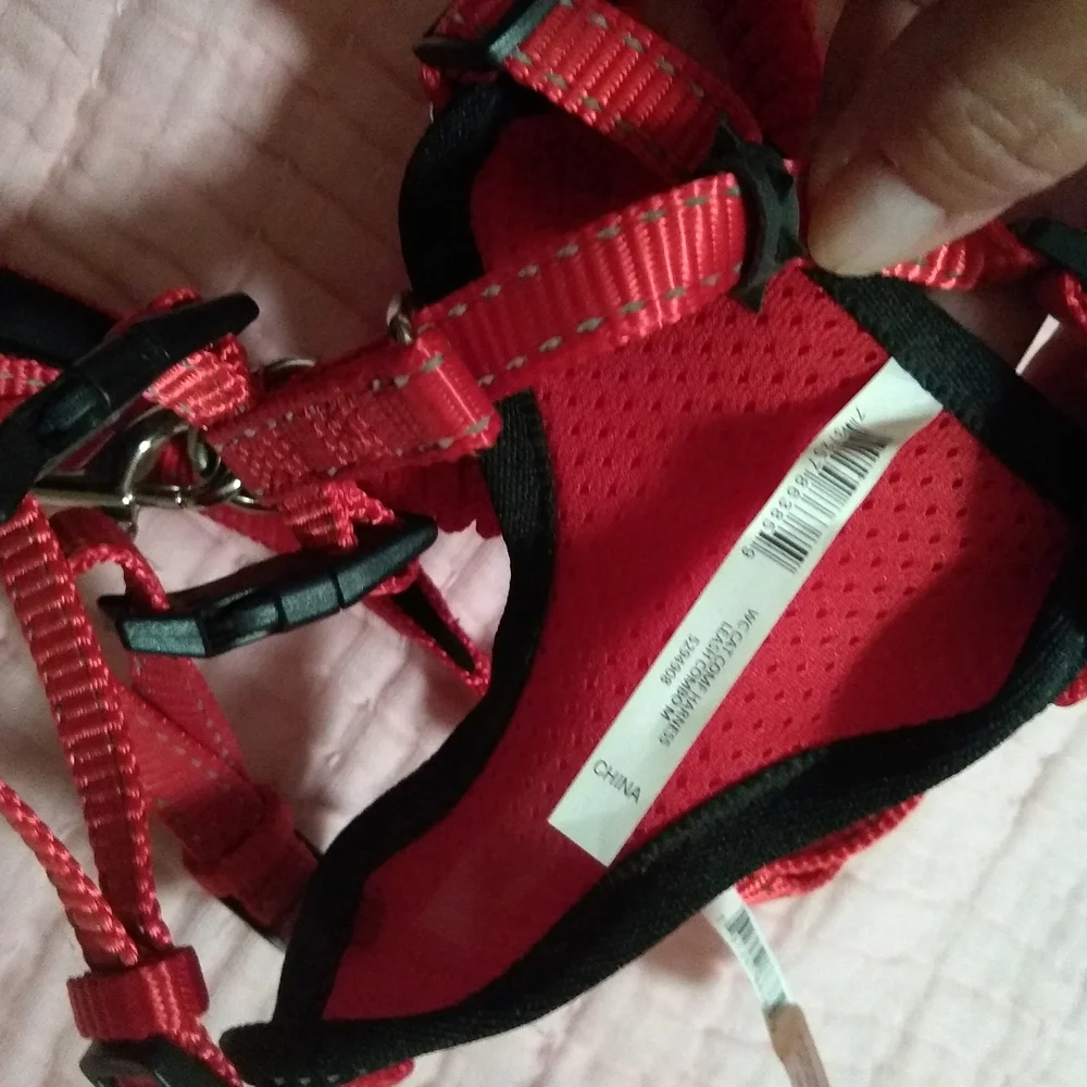 Red Cat Harness and Leash Set